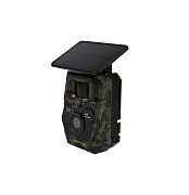 Fotopast TENOTRAIL Easylive 4G