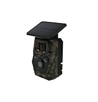 Fotopast TENOTRAIL Easylive 4G