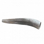 Jelení řevnice Weisskirchen 40cm 