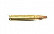Náboj Remington 9,3x62 Express Rifle PSP 285 gr. 20 ks
