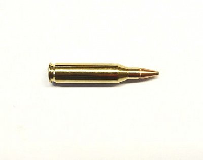Náboj RWS .243 Win. KS 6,2g 20 ks